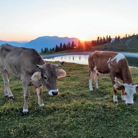 Montis Golte דירה מוזירייה