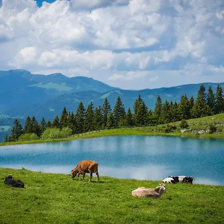 Montis Golte * Mozirje